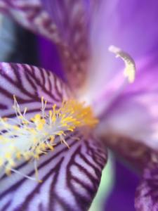 16299085_10208472735431110_7646953444872454502_n-1