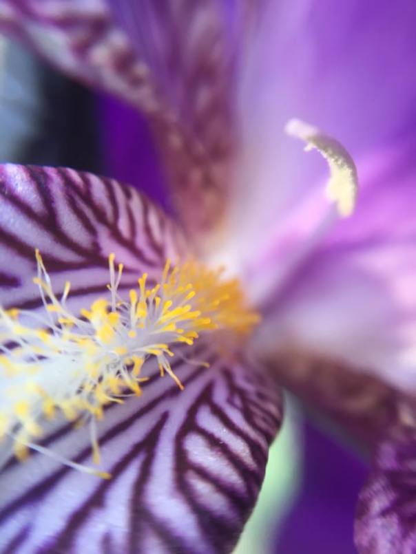 16299085_10208472735431110_7646953444872454502_n-1