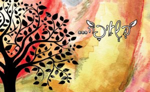 %d7%a8%d7%a7%d7%a2-%d7%9c%d7%90%d7%99%d7%a8%d7%95%d7%a2-%d7%9e%d7%a4%d7%92%d7%a9-%d7%91%d7%a9%d7%90%d7%99%d7%a4%d7%94