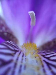 16425825_10208472735831120_2448278049193396893_n