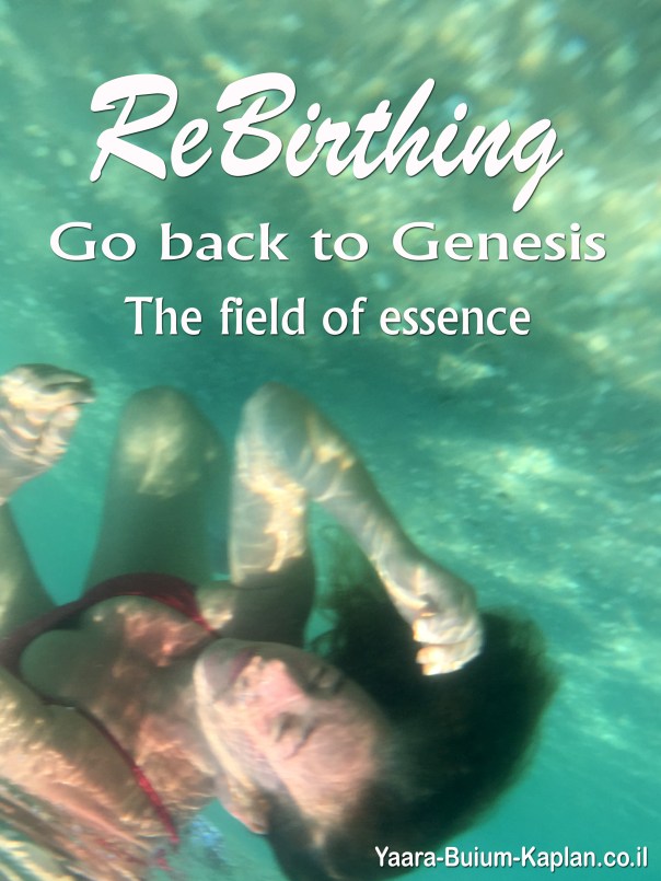 בחזרה לבראשית